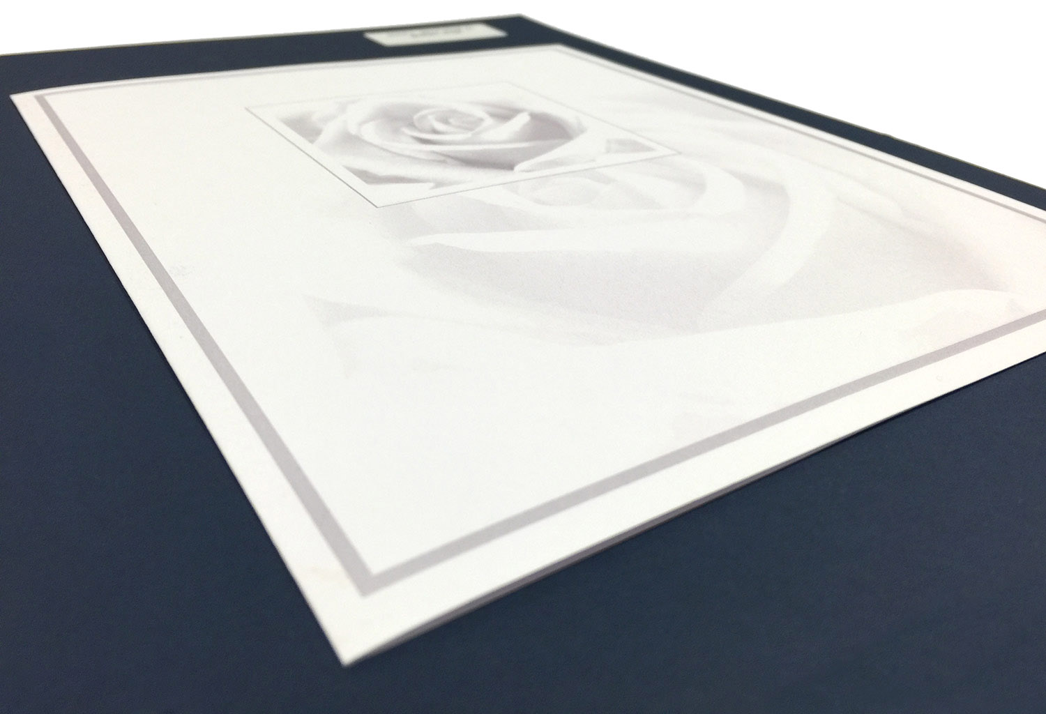 Rouwkaart Witte roos, type A
