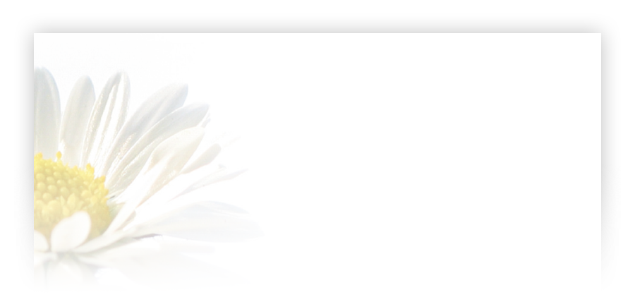 Rouwkaarten laten drukken met voorbeelden van bloemen, calla lily, gerbera, hyacint, roos, tulp, lilly, bloem