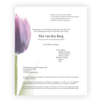 Bloemen rouwkaart 0202 tulp paars