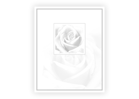 Rouwkaarten drukken - circulaire 0105 witte roos