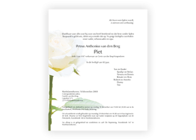 Bloemen rouwkaart 0203 Witte Roos