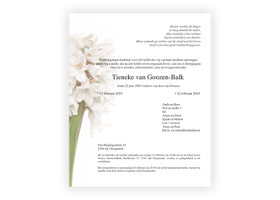 Bloemen rouwkaart 0204 Witte Hyacint