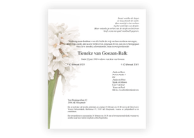 Bloemen rouwkaart 0204 Witte Hyacint