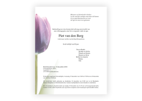 Bloemen rouwkaart 0202 tulp paars